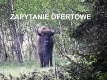 Zapytanie ofertowe