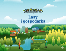 Międzynarodowy Dzień Lasów: lasy dla gospodarki i bezpieczeństwa